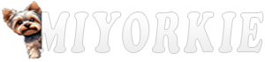 MiYorkie